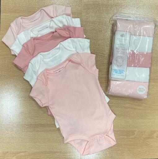Pack De 5 Body En cotton "Banc" demi-manche
