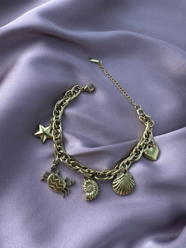 Accessoires